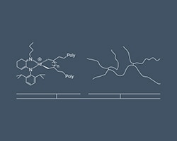 molecular chain