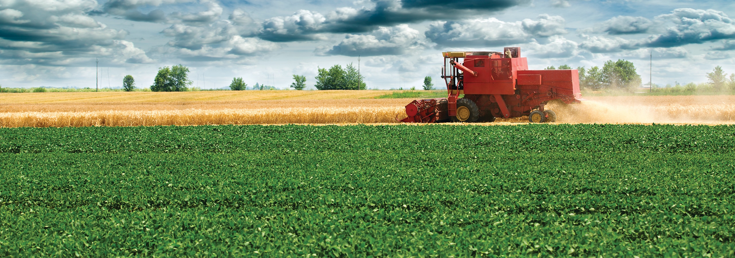 combine in a farm field