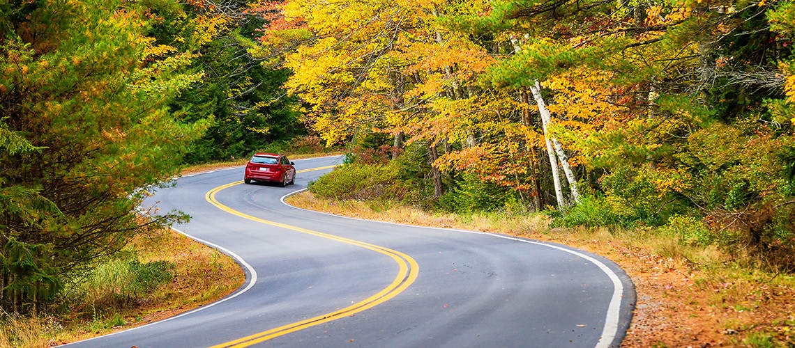 red car driving a winding road through a forest