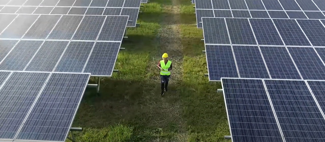 person inspecting solar panels in a solar farm