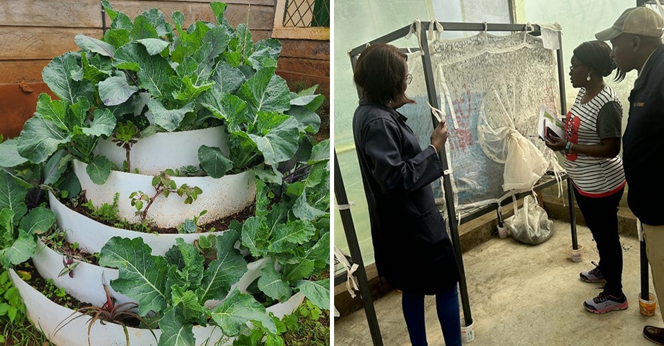 A participant planting seeds and two posing with Fikia Dada poster